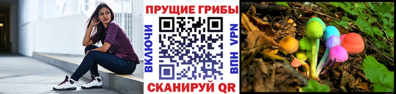 blacksprut маркетплейс  Баксан  Галлюциногенные грибы Magic Shrooms 