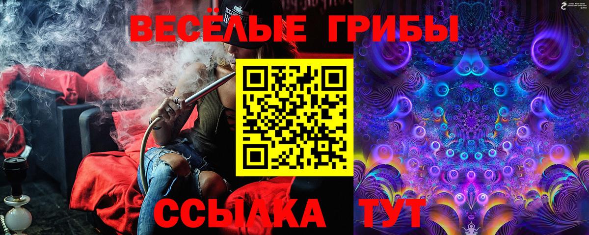 Баксан  Галлюциногенные грибы прущие грибы  купить   Вход с VPN 